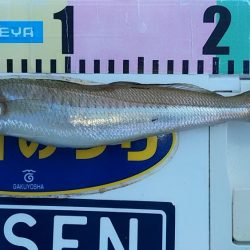 矢原でキス狙い