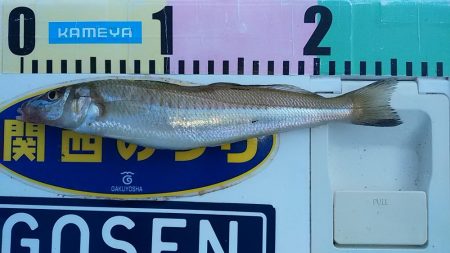 矢原でキス狙い