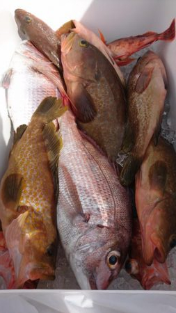 7月22日 ひとつテンヤ