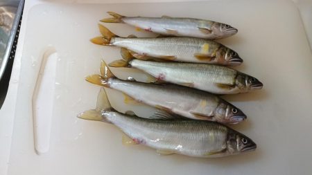 大雨の影響もなく