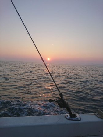 イカメタル深夜便