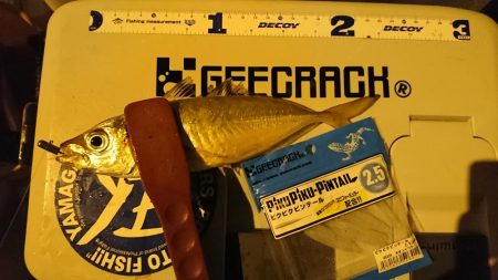 ボートアジング