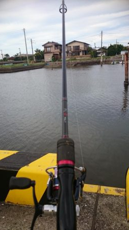 ハゼ釣りでクロダイ釣れた