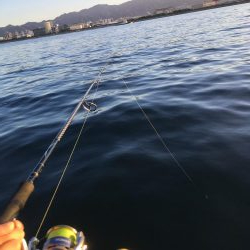 キャッチ&リリース