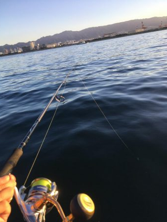 キャッチ&リリース