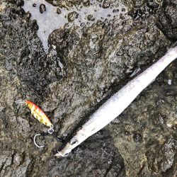 モニター釣行第一弾