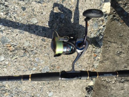 サワラのベイビーpart2