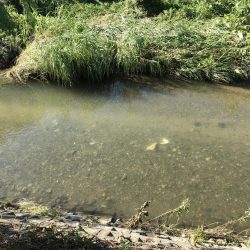 久しぶりの川釣り