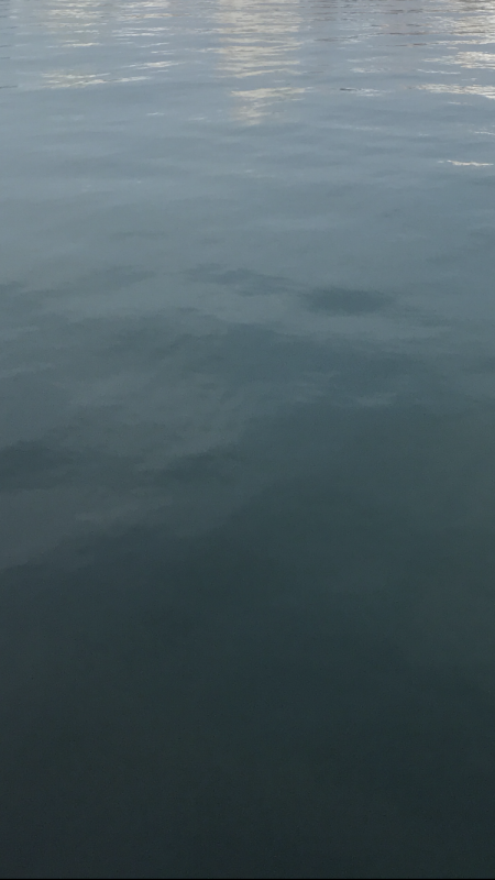 青物パラダイス