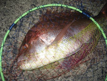 大鯛　ショアジグ