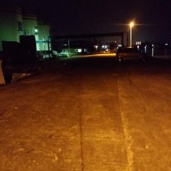 チニングシーバス