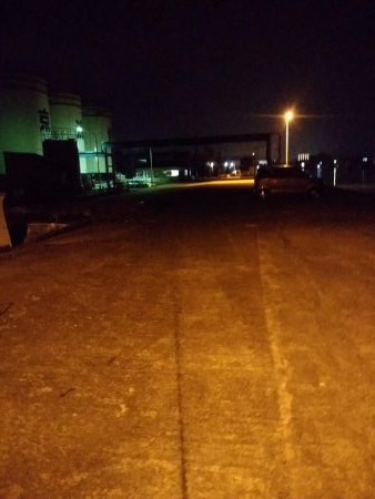 チニングシーバス