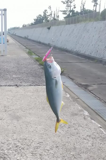 ツバスチャン・ベッテル