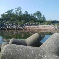 キスが釣れましたー