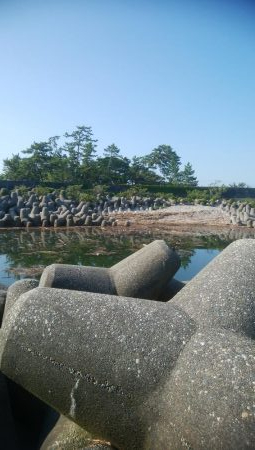 キスが釣れましたー