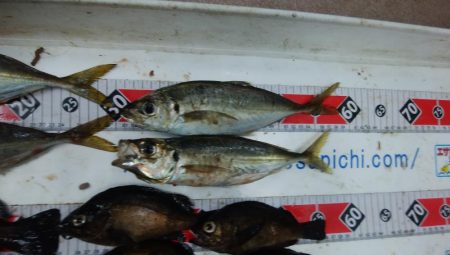 淡路島の夜釣り