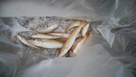 キス好調です！