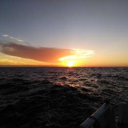 シブいっすねぇ〜