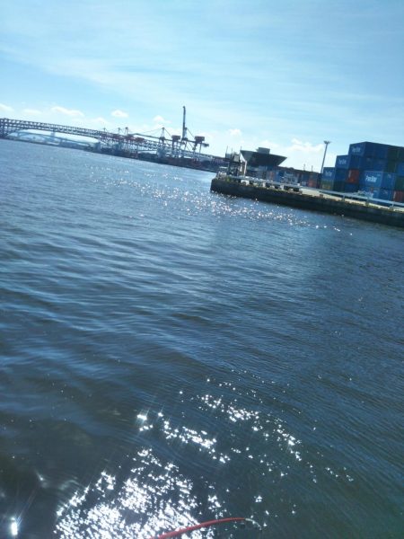 南港シーサイドコスモ