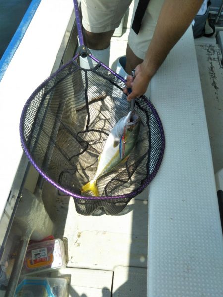 明石で鯛ラバとジギング