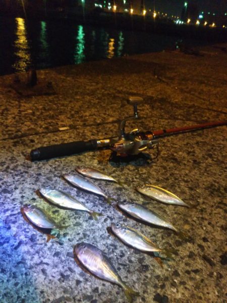 南港フェリーターミナルで夜釣り