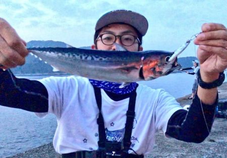 小浦一文字、ポッパーに好反応