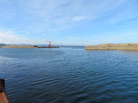 天ぷら狙いのキスは不発