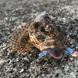 ガッシーマンション2nd