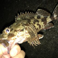 雷雲の間にガッシー！