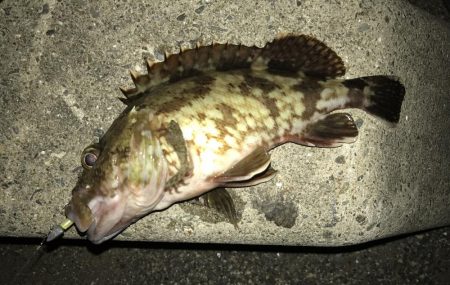 帰ってきたガッシー