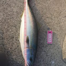 沼島　ショアジギング