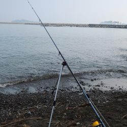 酷暑のキス釣り