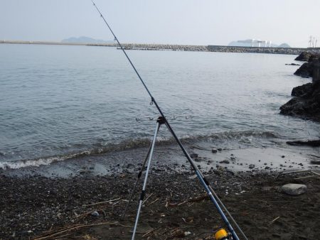 酷暑のキス釣り