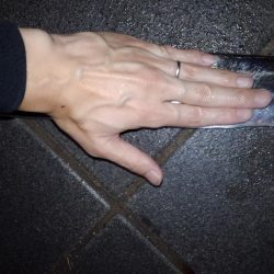 久しぶりのタチウオ釣行