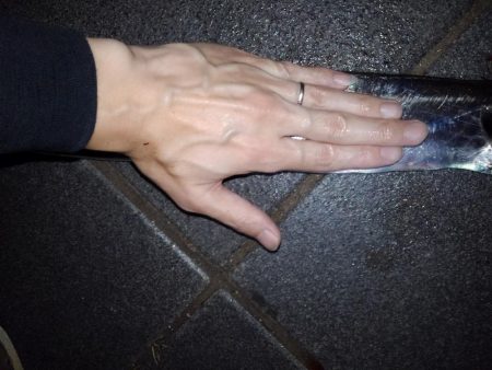 久しぶりのタチウオ釣行