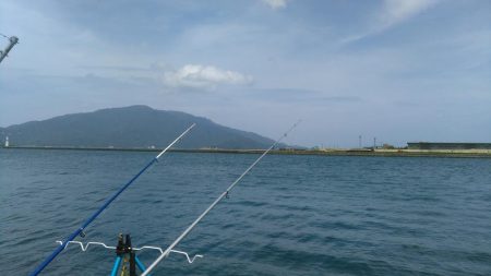 キス釣りでチヌ