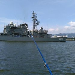 キス釣りでチヌ2