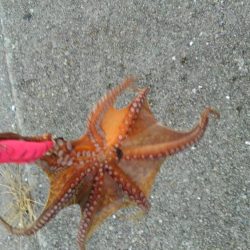 僕の夏休み(パート1)