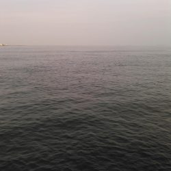 ライトショアジギング