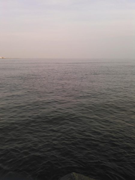 ライトショアジギング