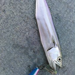 ライトショアジギング