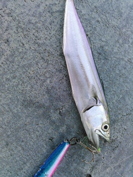 ライトショアジギング