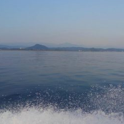 暑さにも負けず‼