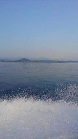 暑さにも負けず‼