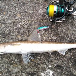 仕事前にライトに調査