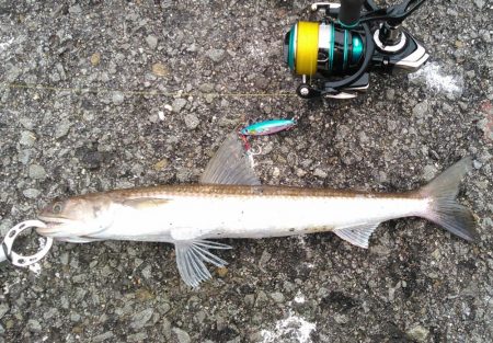 仕事前にライトに調査