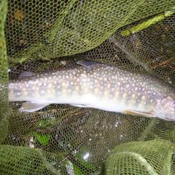 雨上がりの渓谷にて