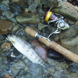 渓流ミノーイング