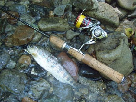 渓流ミノーイング