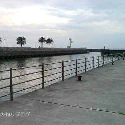 短時間サビキ釣り